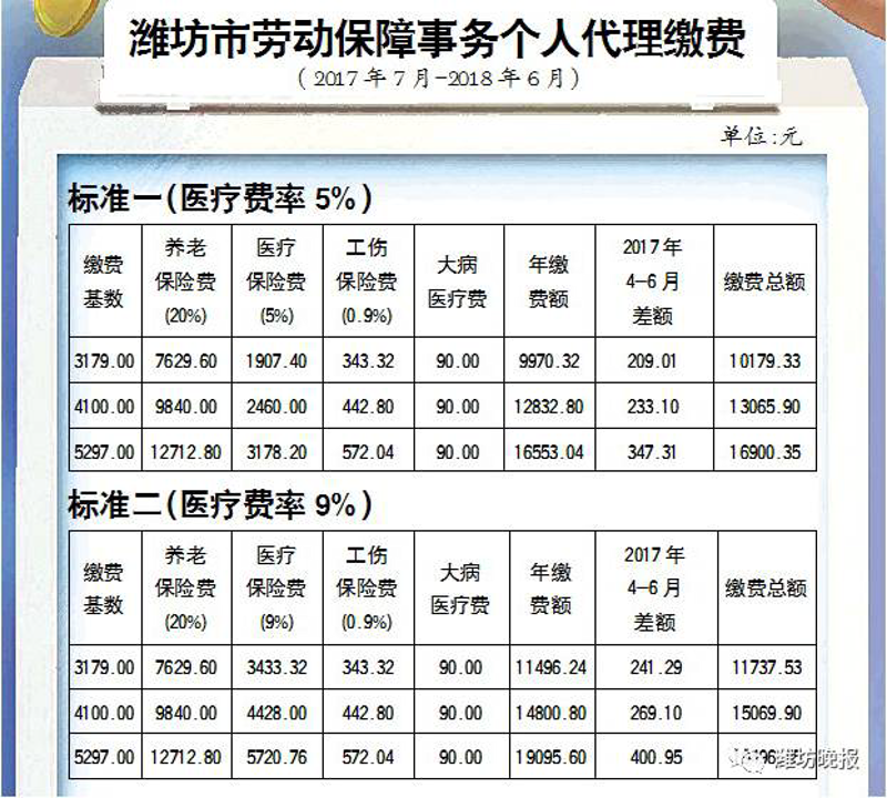 寿险行业的代理市场动态概览